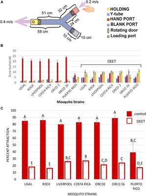 Olfaction-Related Gene Expression in the Antennae of Female Mosquitoes From Common Aedes aegypti Laboratory Strains